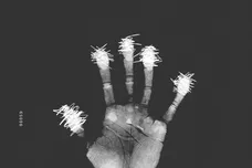 2015 Top Dawg Entertainment