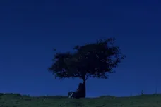 Rexx Life Raj/Spotify