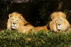 Mark Wilson/Getty Images