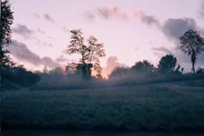 2020 BADBADNOTGOOD LTD