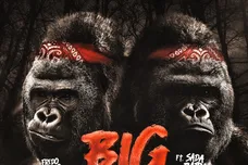 Image via Fredo Bang