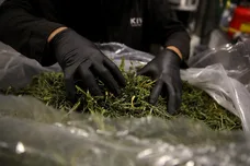 Justin Sullivan/Getty Images