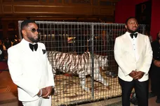 Paras Griffin / Contributor / Getty Images