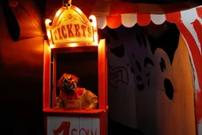 John Lamparski/Getty Images