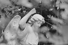 John Downing / Stringer / Getty Images