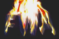 2015 Young Money Entertainment