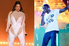 Kevin Winter/Getty Images for The Recording Academy / Brian Ach/Getty Images for Something in the Water