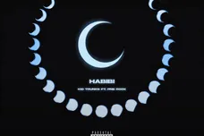 Image via Kid Trunks