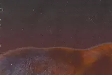 Young Stoner Life Records/300 Entertainment