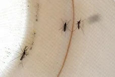 Justin Sullivan/Getty Images