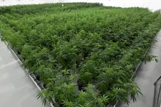 Ethan Miller/Getty Images