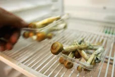 Daniel Berehulak/Getty Images