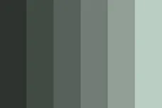 Baby Keem, LLC. and pgLang LLC.