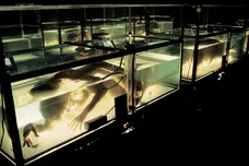 FOX via Getty Images