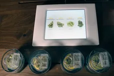 Bryan Steffy/Getty Images for MedMen