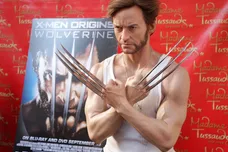 (Stephen Lovekin/Getty Images)