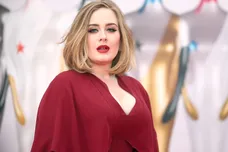 Mike Marsland / Contributor / Getty Images