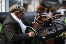 Dan Kitwood/Getty Images