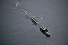 Joe Raedle/Getty Images