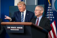 Sarah Silbiger/Getty Images)