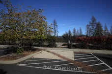 Justin Sullivan/Getty Images