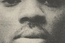 via Universal Music Group