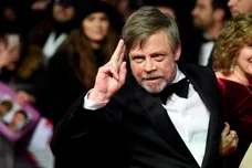 Stuart C. Wilson / Getty Images