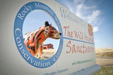 Marc Piscotty/Getty Images