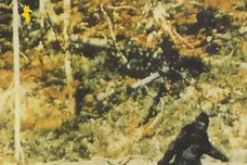 Your Old Droog - The Return of Sasquatch