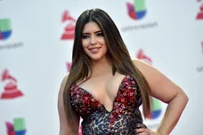 David Becker/Getty Images for LARAS