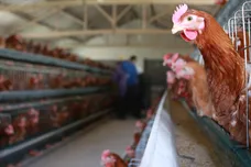 Getty Images/Getty Images for EIF & XQ