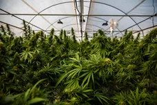 Lauren DeCicca/Getty Images