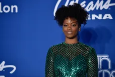 David Becker/Getty Images