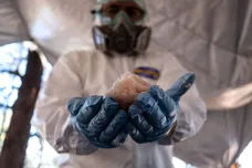 GUILLERMO ARIAS/AFP/Getty Images