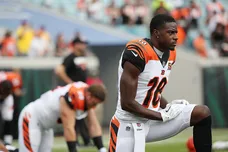 Logan Bowles/Getty Images