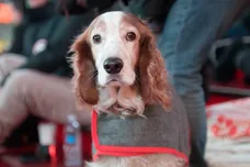 Noam Gala/ gettyimages