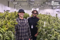 Image provided to HNHH by Wonderbrett