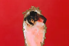 Cactus Jack/WeRunIt Ent./Atlantic Records