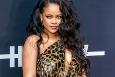 Roy Rochlin/Getty Images