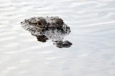 Rob Carr/Getty Images