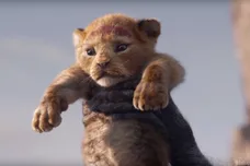 screen cap from Video