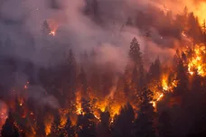 Terray Sylvester/Getty Images