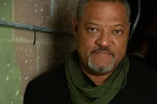 Gabriel Olsen / Stringer / Getty Images