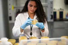 Kena Betancur/Getty Images