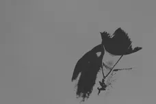 Kenny Mason Denzel Curry