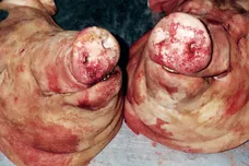 2021 Backwoodz Studioz