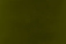 Aftermath/Interscope (Top Dawg Entertainment)