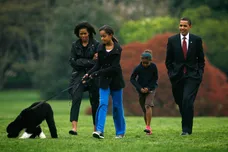 Alex Wong / Getty Images