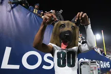 Harry How/Getty Images