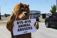 Bruce Bennett/Getty Images